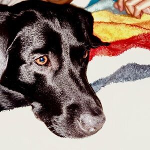 Meet your Posher, Sonny